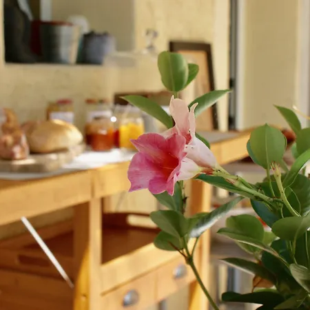 Guest house Couette Et Cafe Montpellier