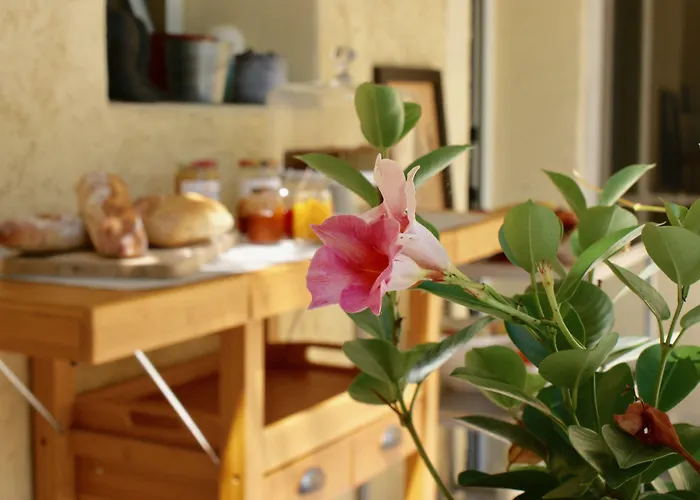 Casa de hóspedes Couette Et Cafe Montpellier